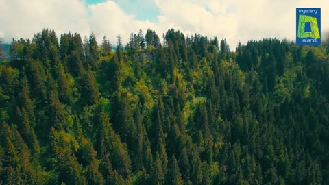BUS NO. 142 को म्यूजियम में क्यों रखा गया ? Into The Wild Movie Real Story of Chris McCandless !