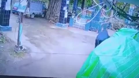 Guess who stole your scooter