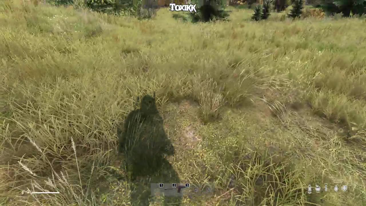 Oh Master Robin! You lost your arms in battle! But you grew some nice boobs. (DayZ)