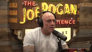 Joe Rogan Experience #2312 - Jeremy Renner