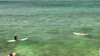 Seth at the Ala Wai 2025-03-15 Sat 2-4'