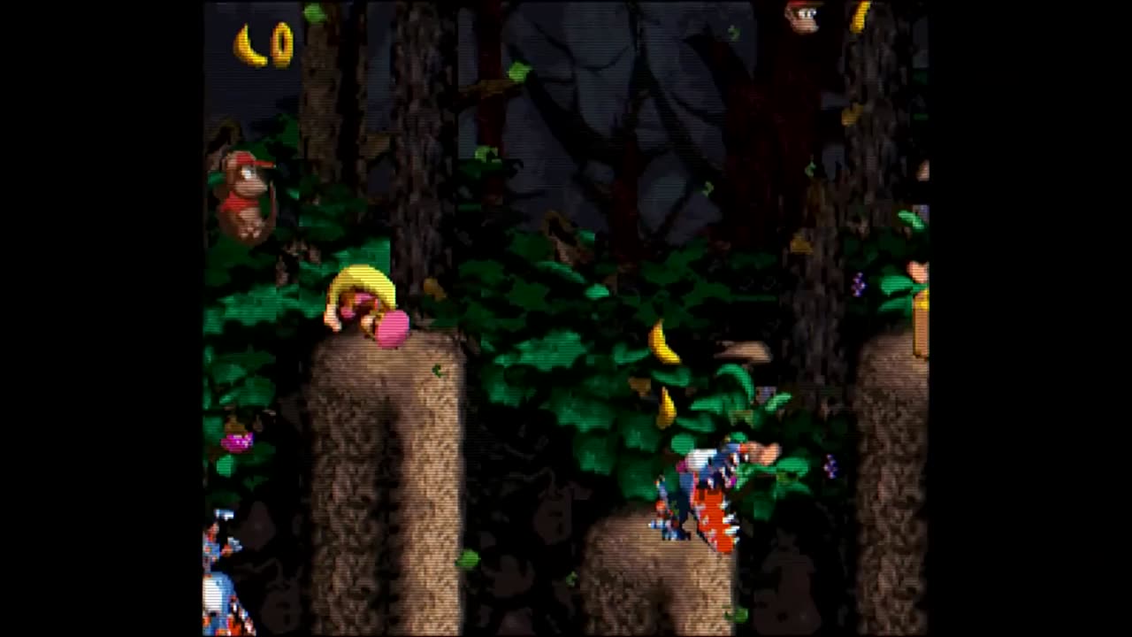 Donkey Kong Country 2 - Forest Interlude