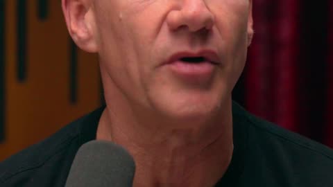 Can Spermidine mimic fasting?