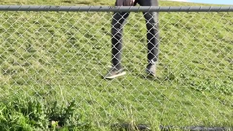How animals jump 🦘 fence