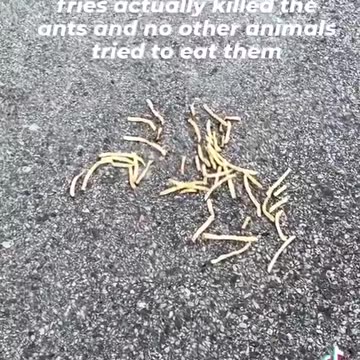 “I’m never buying anything from McDonald’s ever again”