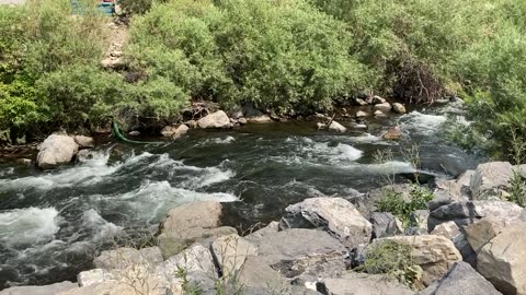 FAMILY VISIT Us in AUG2021