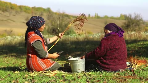 Pendirli Piroq və İtburnu Kompotu, ASMR food, Country Life Vlog
