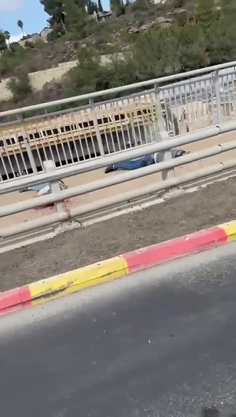 (Jerusalem)Two People Pretending to Be Tourists Open Fire On Bus Full of People