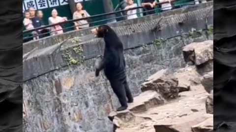 😨👻 Shocking Paranormal Evidence That Defies Belief! | TheHauntingHour