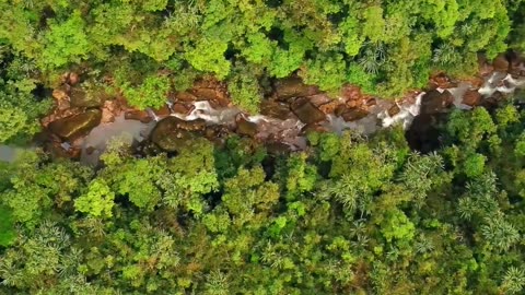 Meghalaya – Nature’s Masterpiece in the Northeast