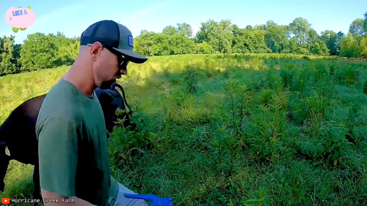 When Animals Face Off Against the Wrong Foe | #7