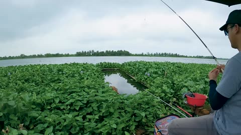 Crappie Craze Top Fishing Tips