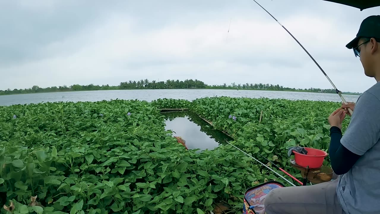 Crappie Craze Top Fishing Tips