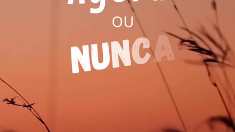 seguraveiro.com