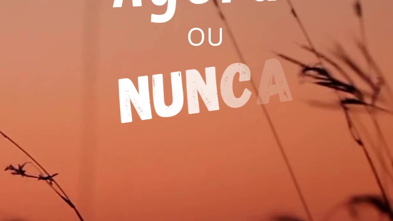 seguraveiro.com