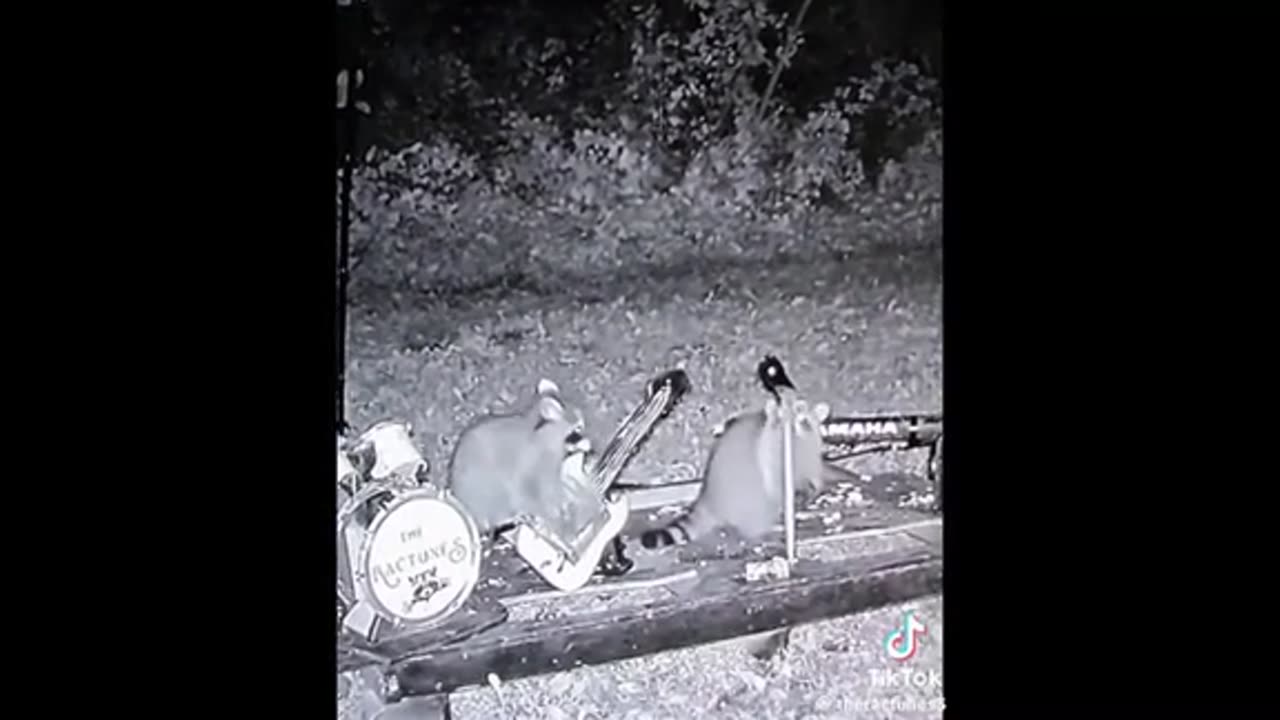 Need a laugh here and there ;)
