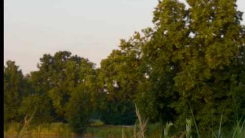 Daily Horoscope | Libra 🌟