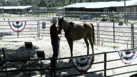 Skipper Calder & Cowboy-up Ministry bring horse training with a message at 11am.