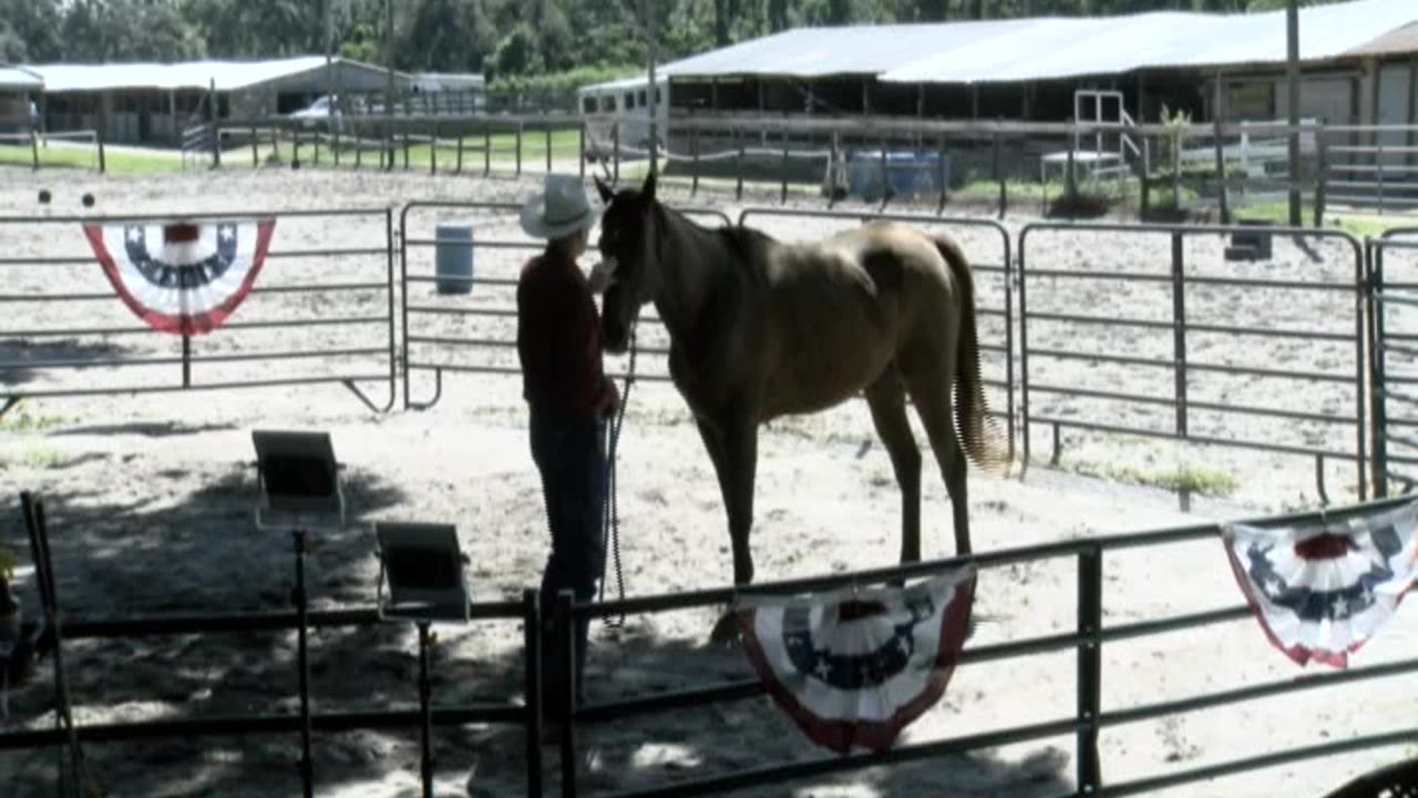 Skipper Calder & Cowboy-up Ministry bring horse training with a message at 11am.
