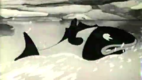 Woody Woodpecker and Friends - 1939x08 - Charlie Cuckoo