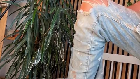 pottery queen joe Pottery girl #clayart #usa #curls #artist #diy #prettygirl #viralgirl #claygirl