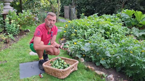 A Day of Harvesting in My Self-Sufficient Garden | August Harvest