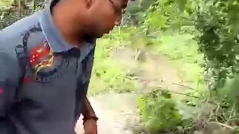 funny videos