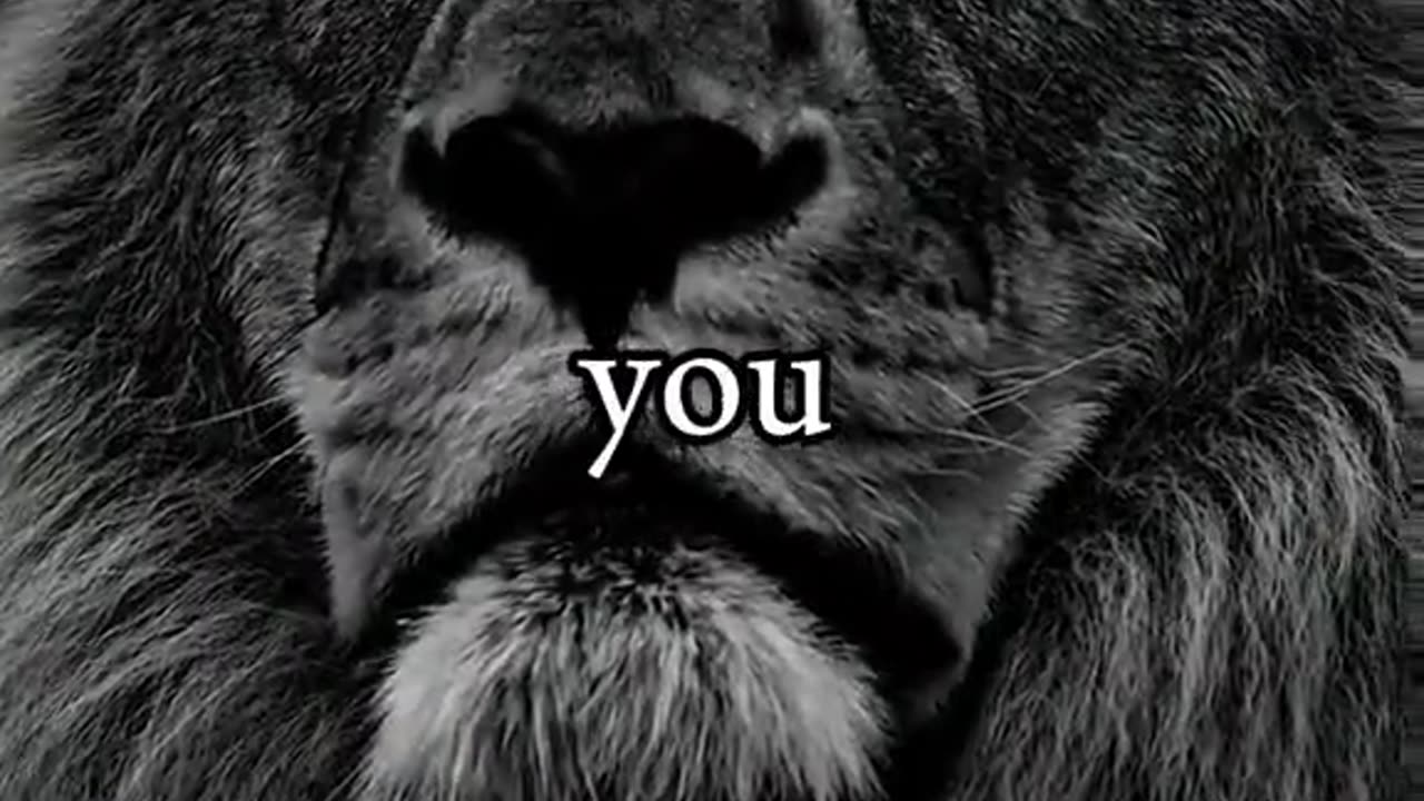Motivational Speech