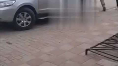 In the Village of Horodyshche, Rivne Oblast — Family Business Catching Fellow Countrymen