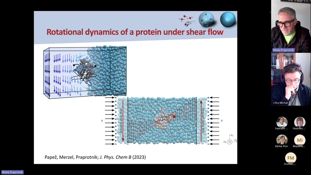 BioED - Matej Praprotnik - Sub THz acoustic excitation of protein motion Ultrasound is widely used as a noninvasive method in biomedical applications