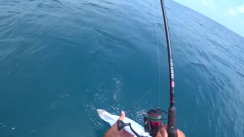 pesca a pesci grossi o big fish, parte 2, hammer shark o grande squalo martello_part1