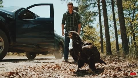 Rescue animal:Hiker Rescuses Eagle Family from Giant Boa constrictor