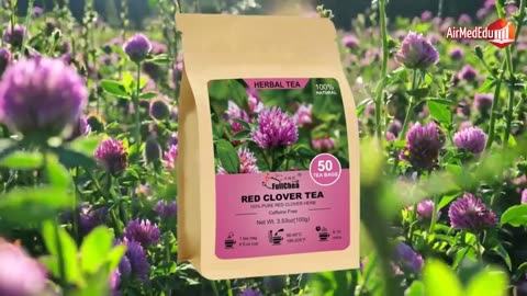 Efecto del Té de Trébol Rojo en el Organismo