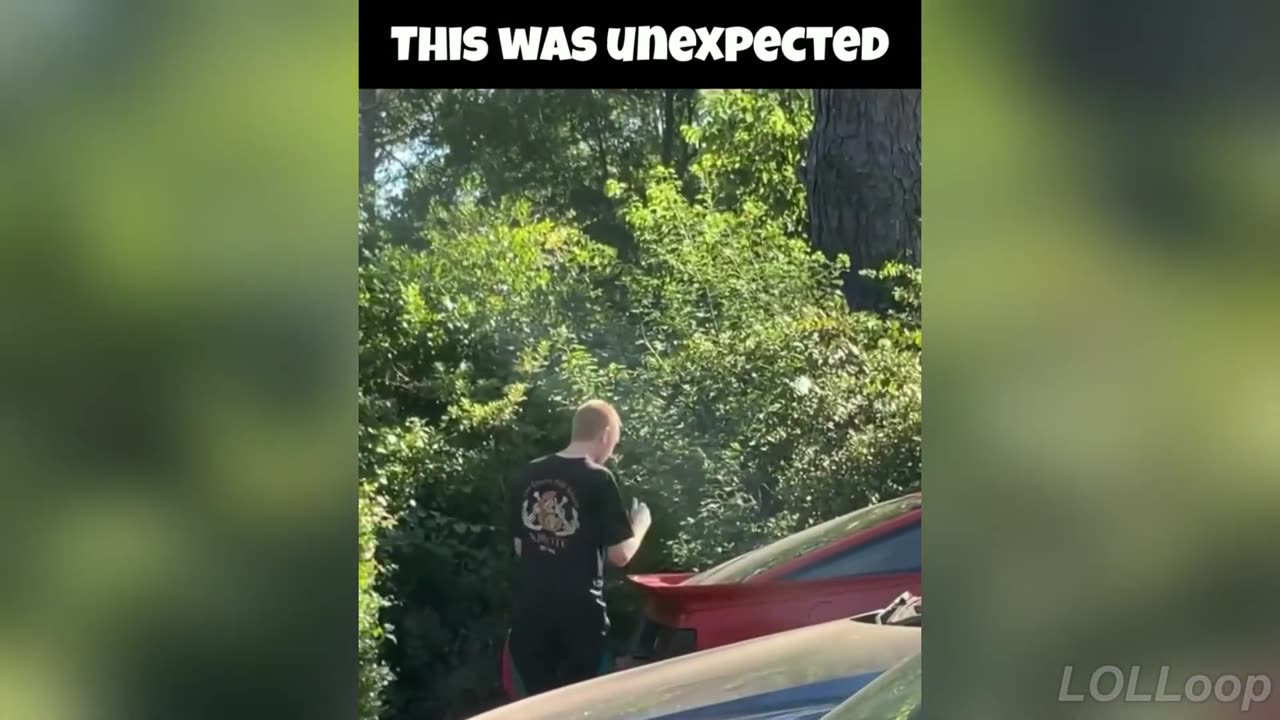 Try Not To Laugh Impossible Challenge 🤣 Funny Video Edition