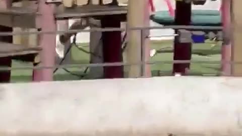 Arab stabbing women, children in Europe