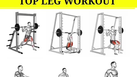 Biceps workout biceps workout with dumbbells biceps Best Bicep workout biceps (1)