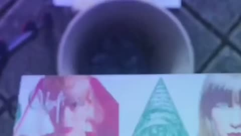 Tim Rifat TikTok Videos