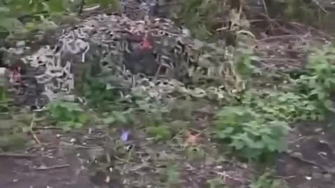 😔🔥 Ukraine Russia War | Russian Soldier Mourns Drone-Wrecked Vehicles | RCF