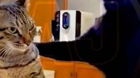 Funny video