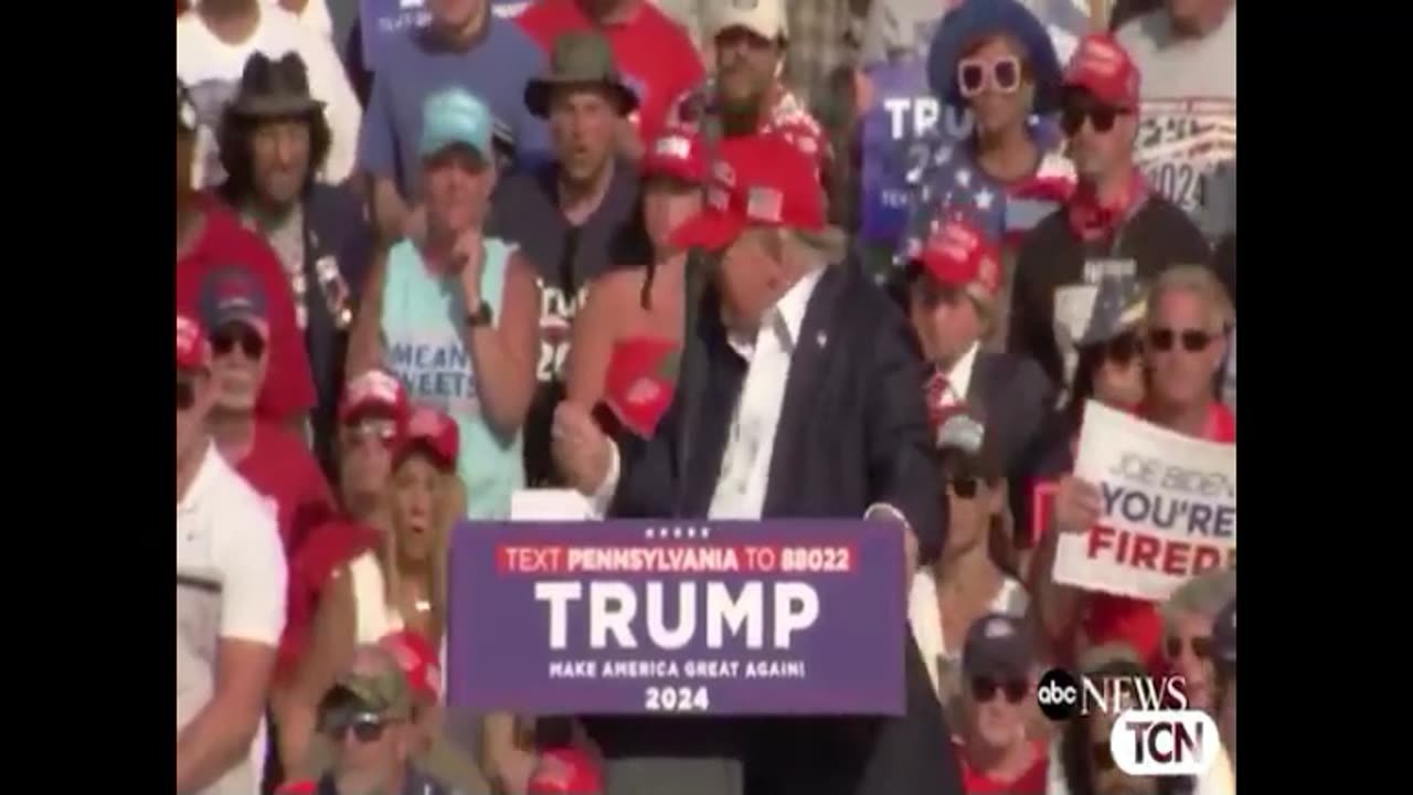 You Can Take My Ear But Not My Liberty!