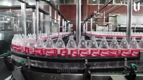 How Gelatin Is Made in a Factory | Gelatin Production Process