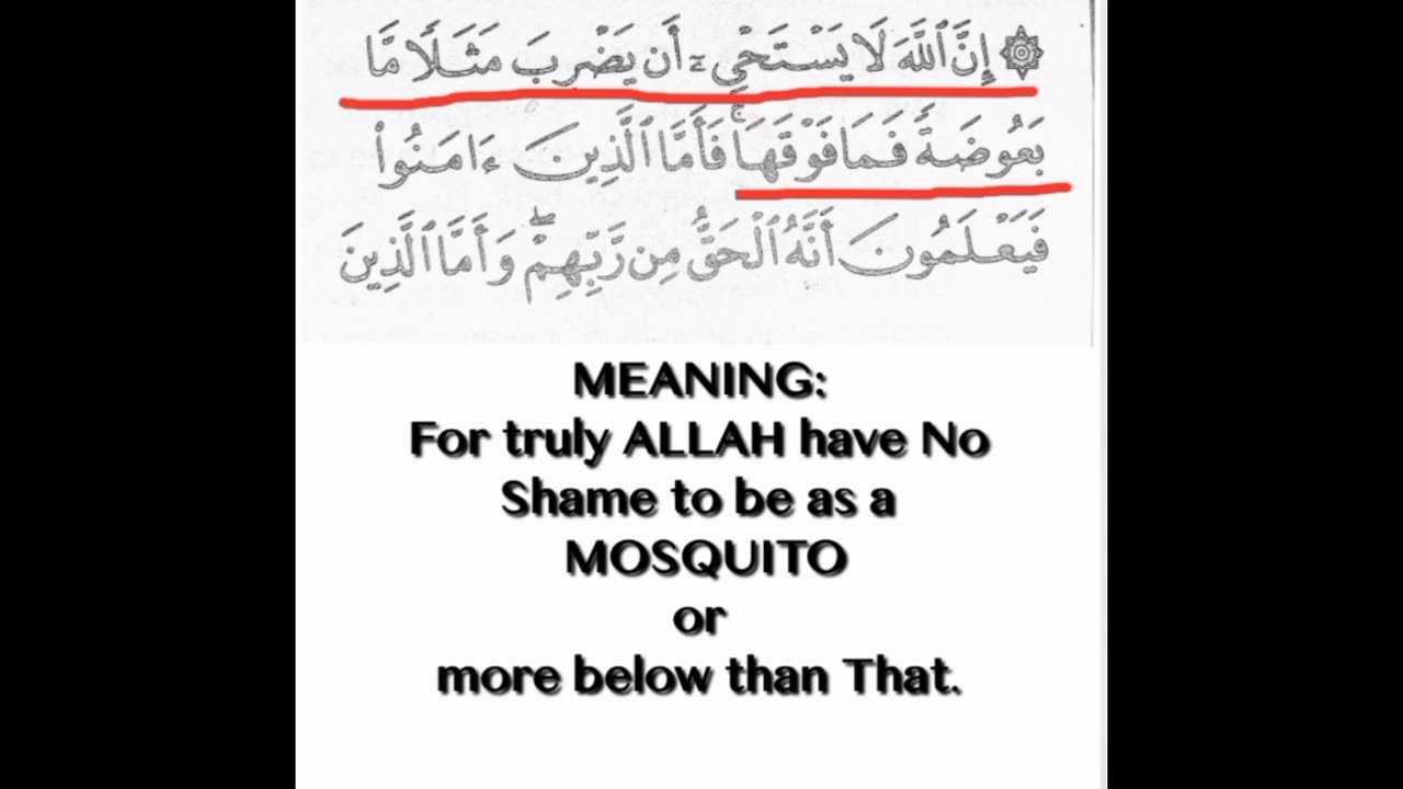 !! Another lies in Hadith and Quran.