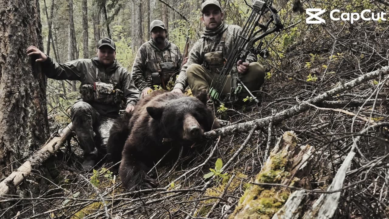 Spring Bear 2024