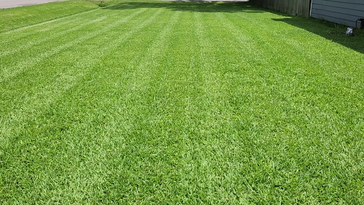 Ep. 379 - A Pretty "Blah" Weekend!