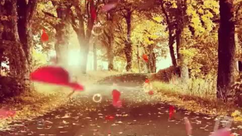 سبحان الله وبحمده 100 مرة HD بصوت و صورة و عدد