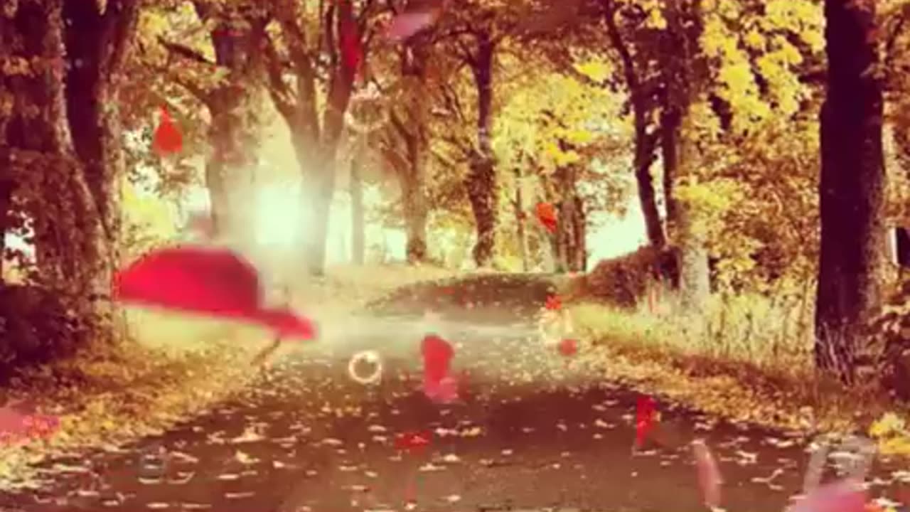 سبحان الله وبحمده 100 مرة HD بصوت و صورة و عدد