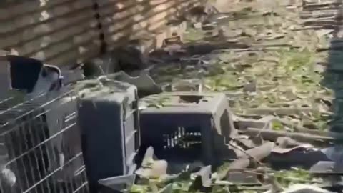 🚑🔥 Ukraine Russia War | Russian Shelling Damages Veterinary Clinic in Kramatorsk | RCF