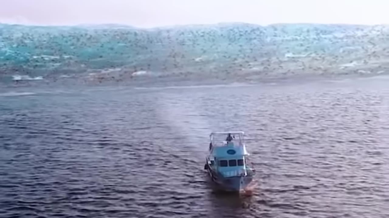 Zombie Tsunami