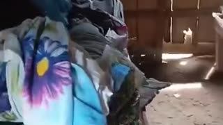 Familia del sur de Bolívar vive en condiciones precarias
