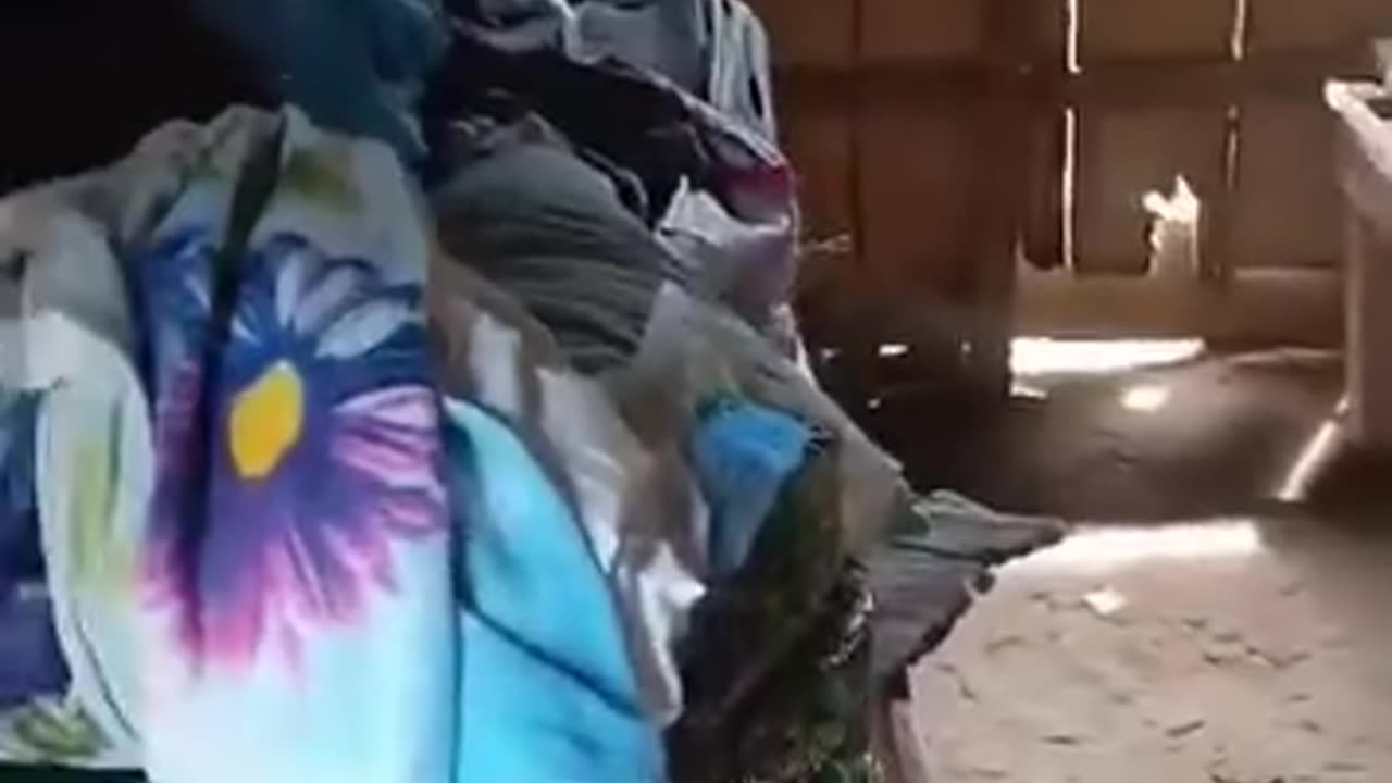 Familia del sur de Bolívar vive en condiciones precarias